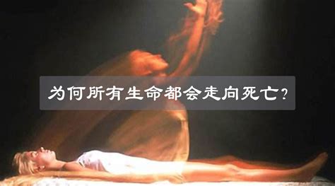 代表死亡的東西|死亡究竟代表了什么？